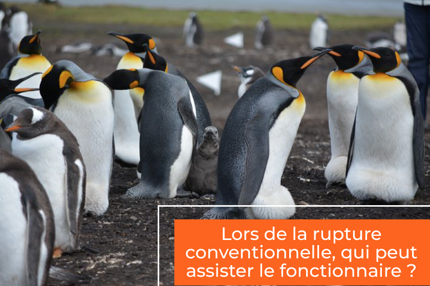 Fonction publique : lors de la rupture conventionnelle, qui peut assister le fonctionnaire ?
